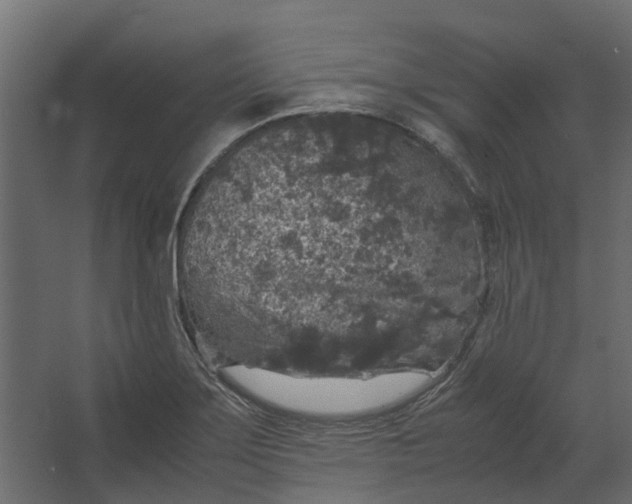 X0000067501275200604211715