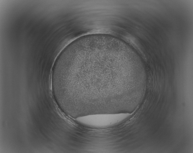 X0000067501276200604211715