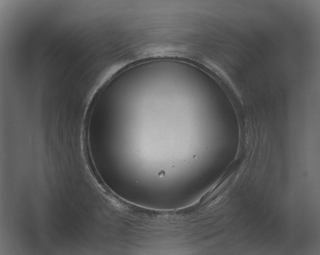 X0000067501277200604211715