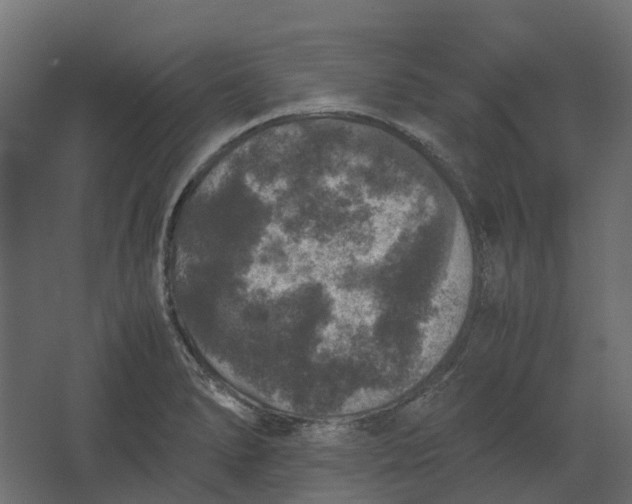 X0000067501278200604211715