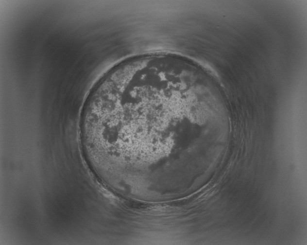 X0000067501279200604211715