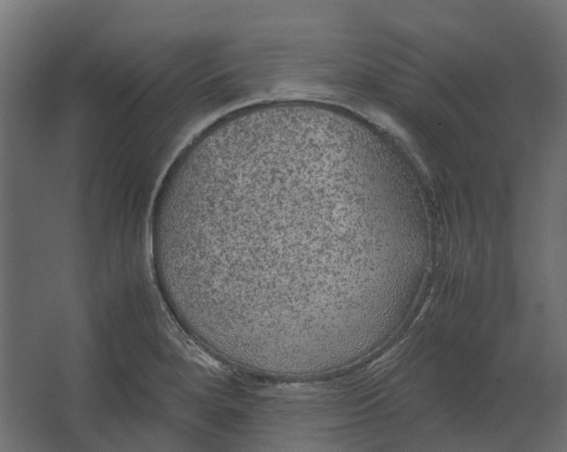 X0000067501280200604211715