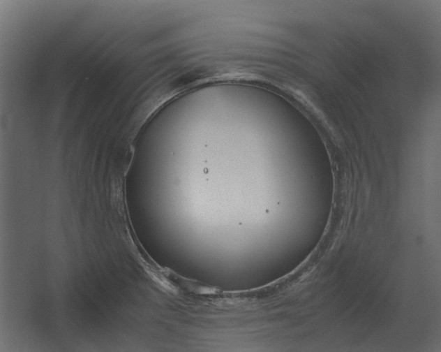 X0000067501281200604211715