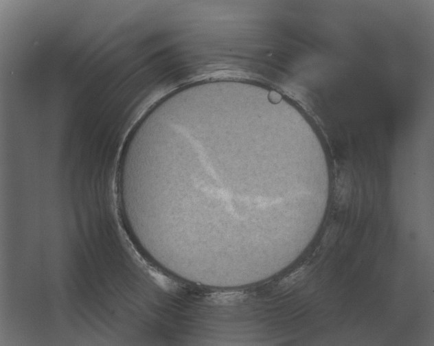 X0000067501282200604211715