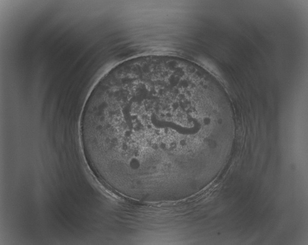 X0000067501283200604211715