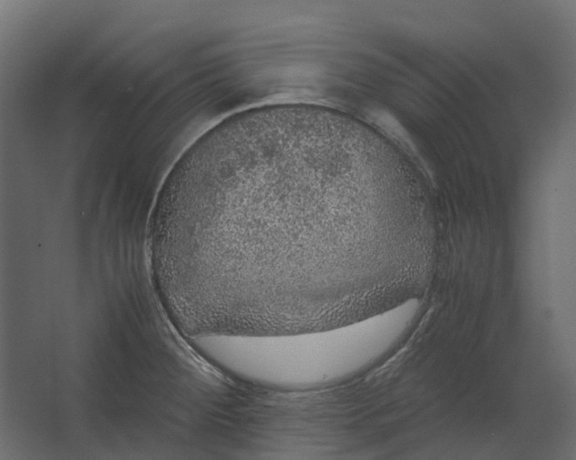 X0000067501284200604211715