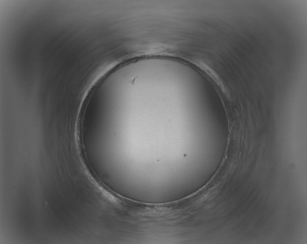 X0000067501285200604211715