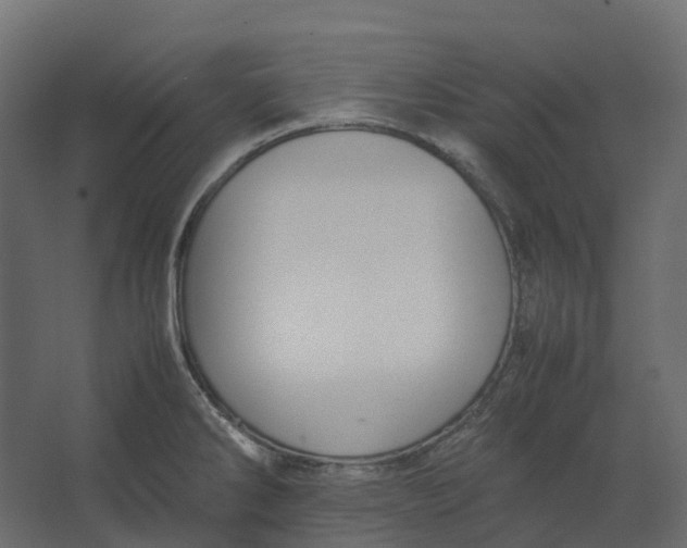 X0000067501286200604211715