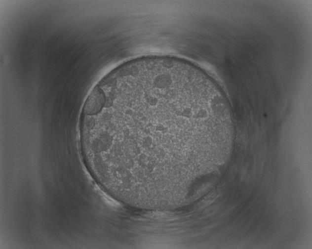 X0000067501287200604211715