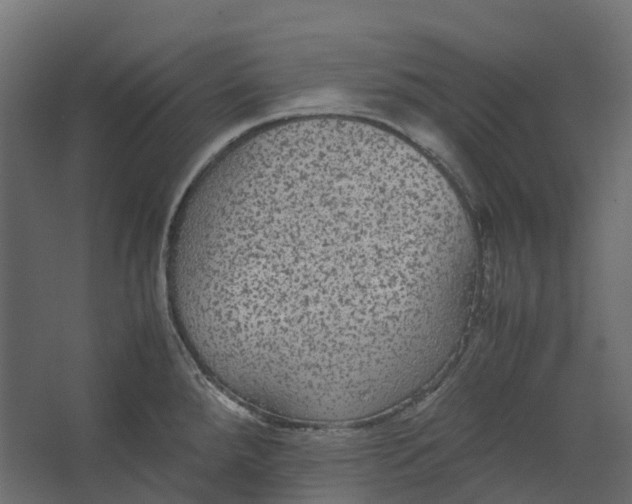 X0000067501288200604211715