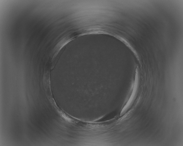 X0000067501289200604211715