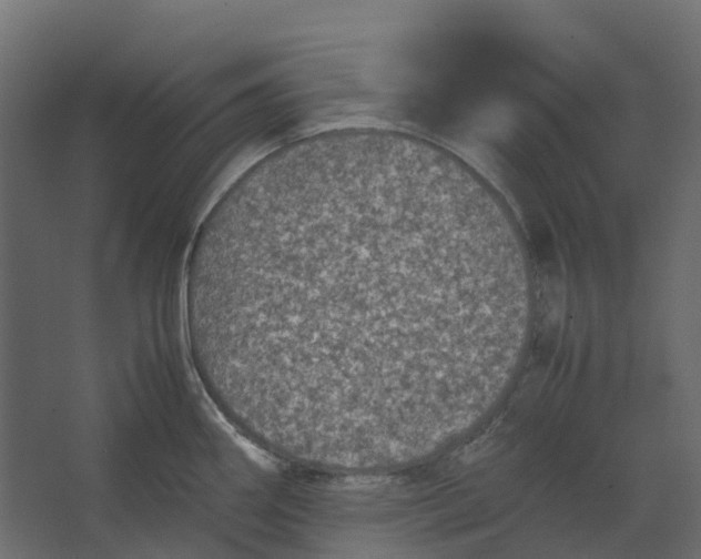 X0000067501290200604211715