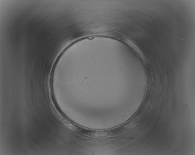 X0000067501291200604211715