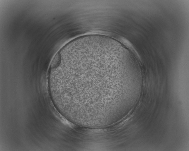 X0000067501292200604211715