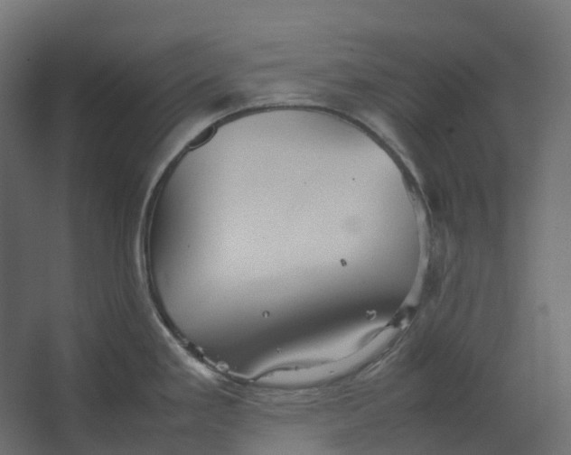 X0000067501293200604211715