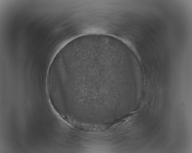 X0000067501295200604211715