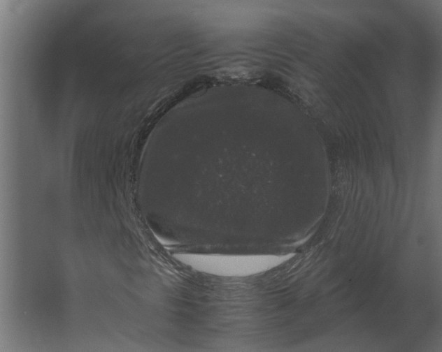 X0000067501297200604211714