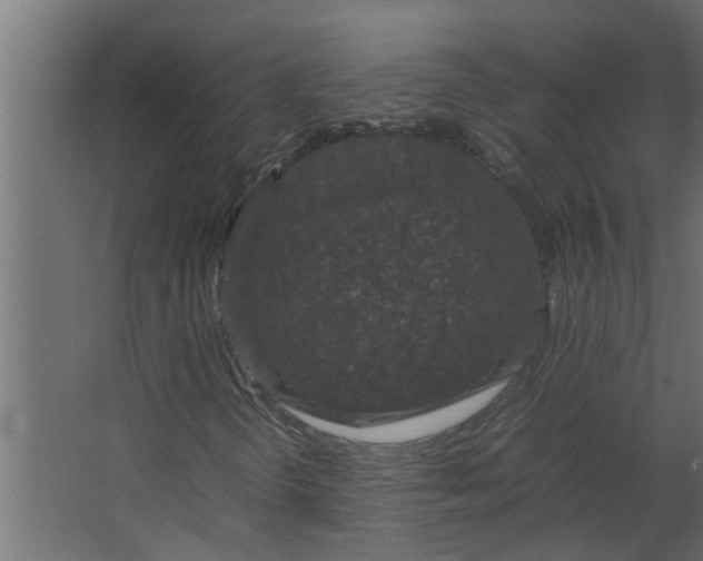 X0000067501298200604211714