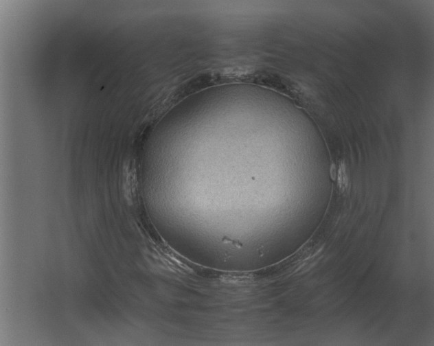 X0000067501299200604211714