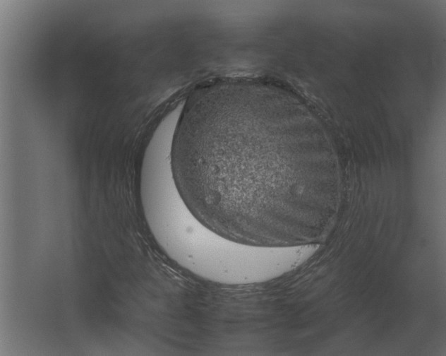 X0000067501301200604211714