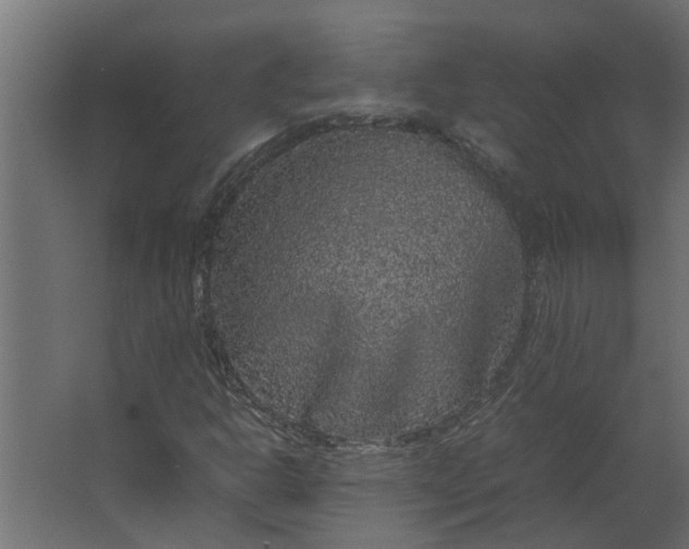 X0000067501302200604211714