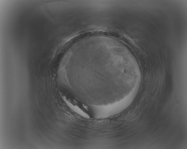 X0000067501303200604211714