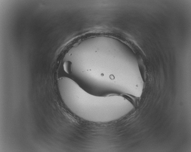 X0000067501304200604211714