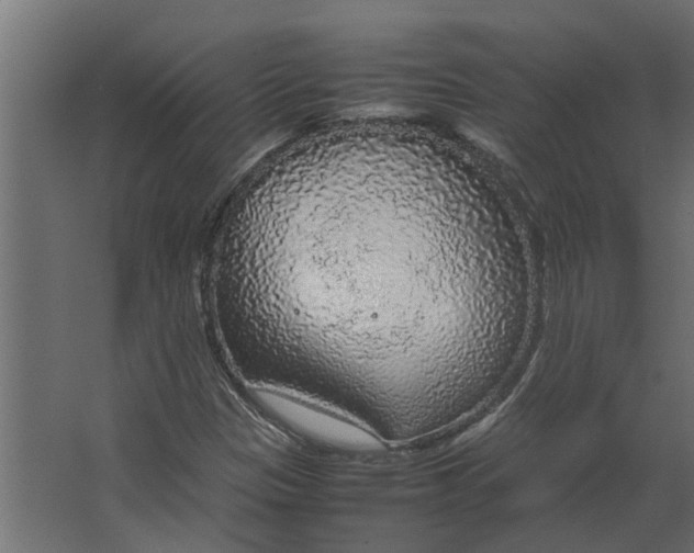 X0000067501305200604211714