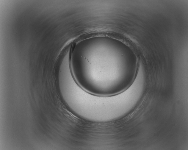 X0000067501306200604211714