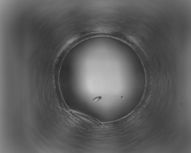 X0000067501307200604211714