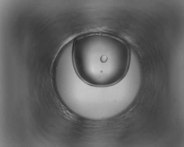 X0000067501308200604211714