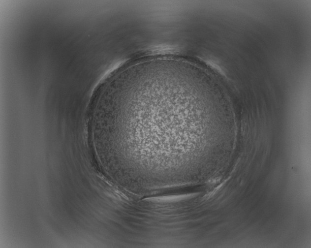 X0000067501309200604211714