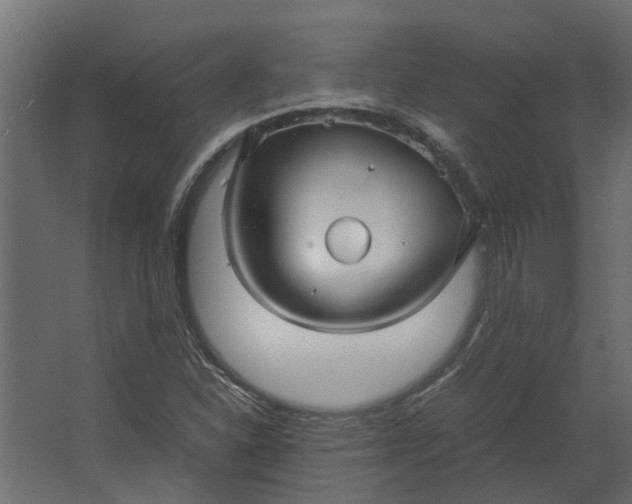 X0000067501310200604211714