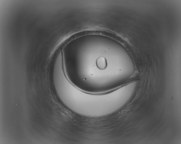 X0000067501311200604211714