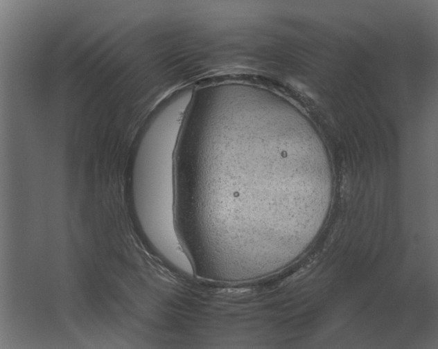 X0000067501313200604211714