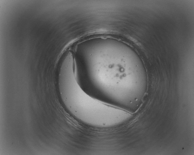 X0000067501314200604211714