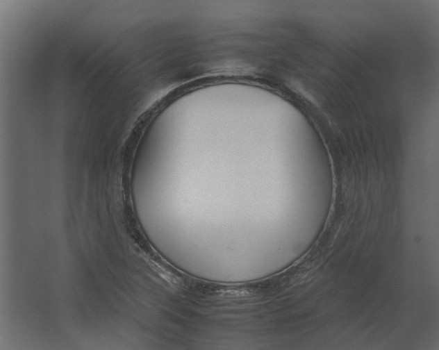 X0000067501315200604211714