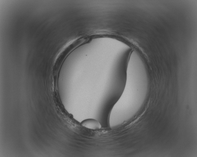 X0000067501317200604211715