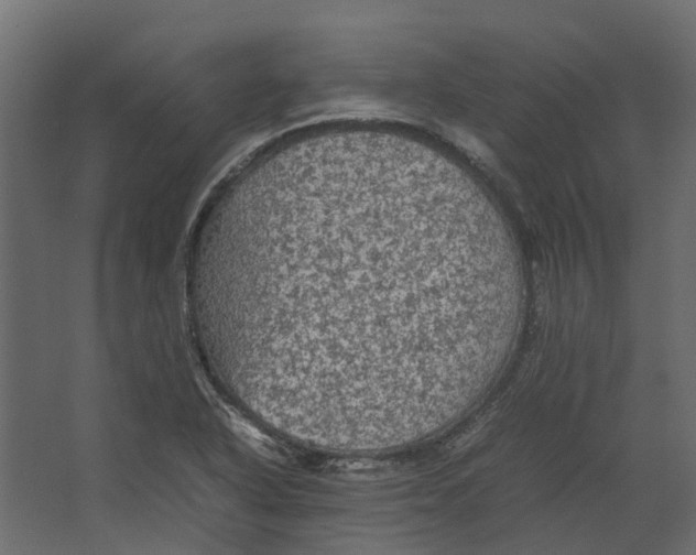 X0000067501318200604211715