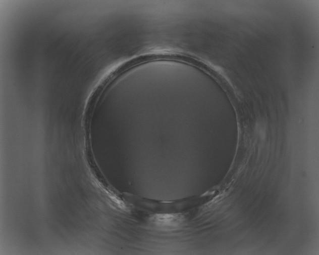 X0000067501319200604211715