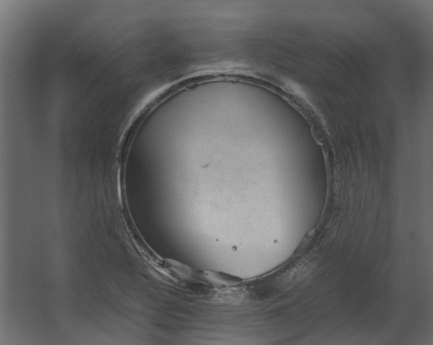 X0000067501320200604211715