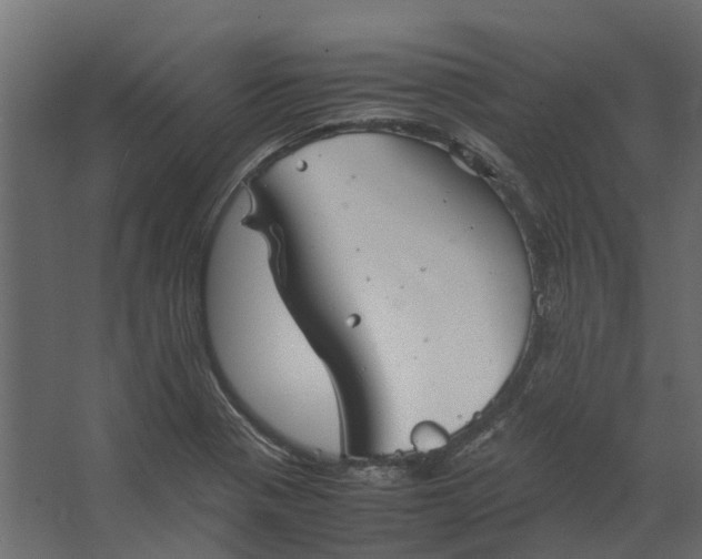 X0000067501321200604211715