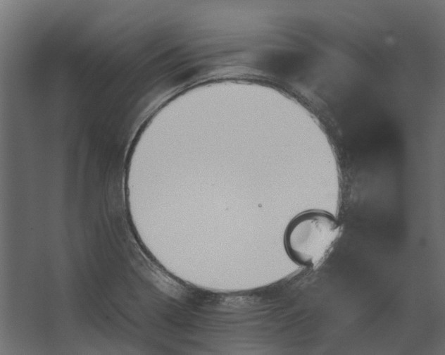 X0000067501322200604211715