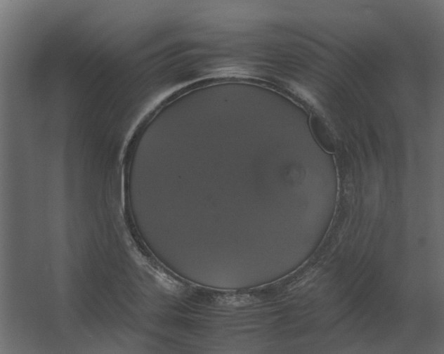 X0000067501323200604211715