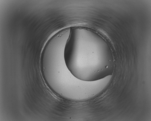 X0000067501324200604211715