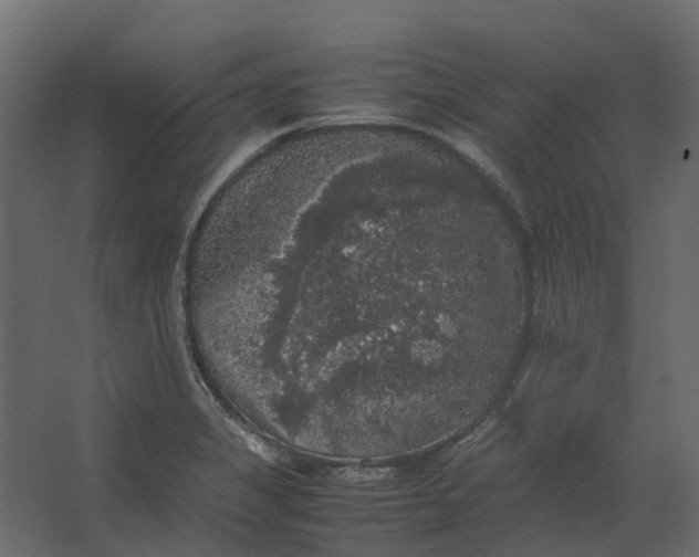 X0000067501325200604211715