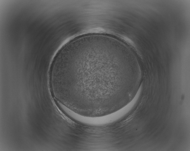 X0000067501326200604211715