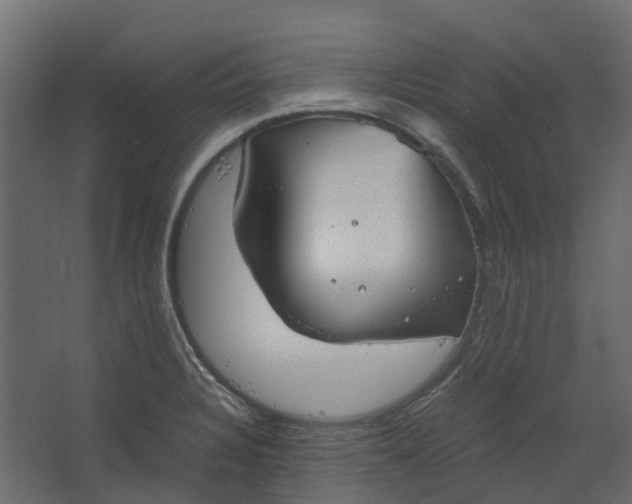 X0000067501328200604211715