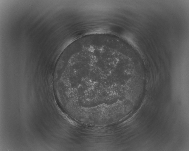 X0000067501329200604211715