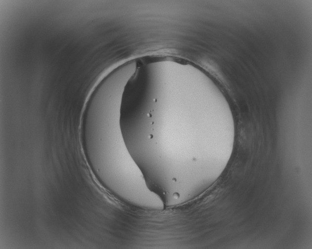 X0000067501332200604211715